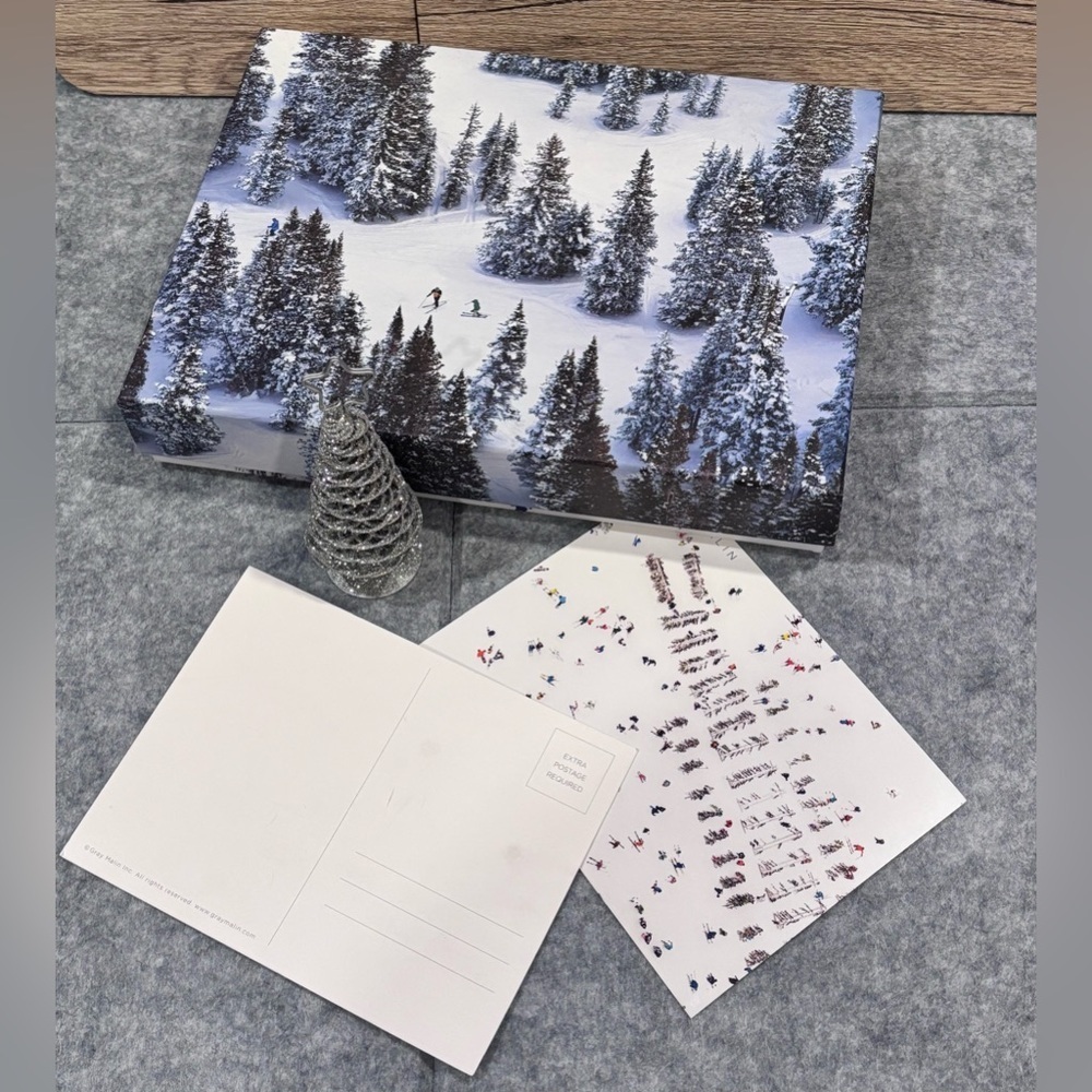 πβοΈπ Gray Malin "The Snow" 500-Piece Puzzleπ βοΈπ - Picture 1 of 6